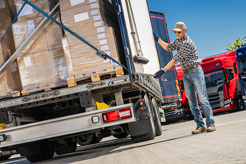 Truck Driver Loading Cargo